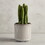 47th & Main AMR979 Dotted Planter Pot - Large
