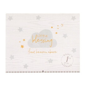 C.R. Gibson BA3-21544 LITTLE BLESSINGS Baby's First Year Keepsake Calendar