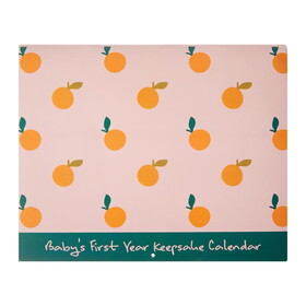 C.R. Gibson BA3-25756 LITTLE DARLING Baby's First Year Keepsake Calendar