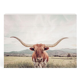 P.Graham Dunn BHB0799 Heartland Home Collection Decorative Block - Longhorn