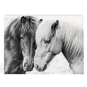 P.Graham Dunn BHB0802 Heartland Home Collection Decorative Block - Horses
