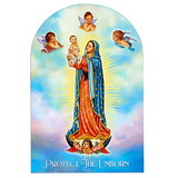 Berkander Berkander Our Lady Of Guadalupe Pro-Life