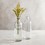 47th & Main BMR024 Clear Glass Vase - Small