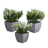 47th & Main BMR678 Mini Plants in Porcelain Pot - Set of 3