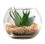 47th & Main BMR684 Succulent in Glass Pot - Set of 3