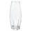 47th & Main BMR738 Clear Glass Vase - X Large
