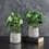 47th & Main CMR088 Plant In Cement Pot - Set Of 2