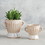 47th & Main CMR295 Striped Pot With Handles - Small