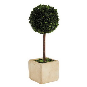 47th & Main DMR099 Topiary Square Boxwood - Large