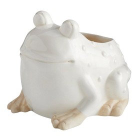 47th & Main DMR149 Frog Ceramic Pot