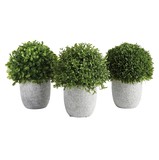 47th & Main DMR428 Topiary In Pot - Set of 3
