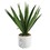 47th & Main DMR430 Big Sisal In Marble Pot