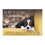 Christian Brands F1263 Pass It On Cards - Do Not Be Afraid Of Tomorrow