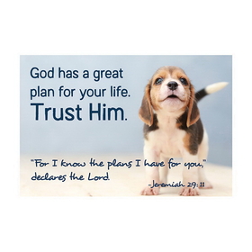 Christian Brands F1265 Pass It On Cards - Trust Him
