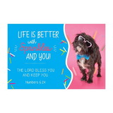 Christian Brands F3378 Pass it On - Life is Better with Sprinkles