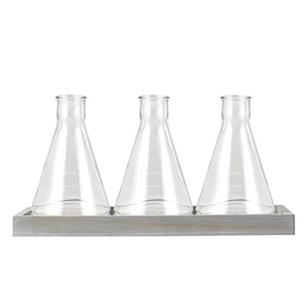 Christian Brands Christian Brands Vase - Glass Beaker
