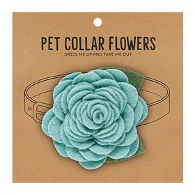 Christian Brands Large Pet Collar Flower