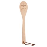 Faithworks J5736 Wooden Spoon - A Spoonful of Joy
