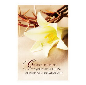 Alfred Mainzer N0275 Note Card - Easter Lily & Crown of Thorn