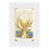 Ambrosiana N5182 Lace Holy Card - My First Holy Communion
