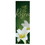 Celebration Banners R6471 He Is Risen Banner - Lily