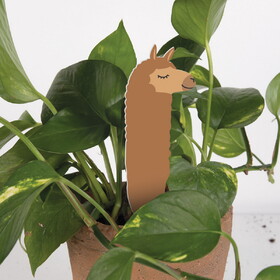 P.Graham Dunn YPPA0047 Plant Pals - Llama