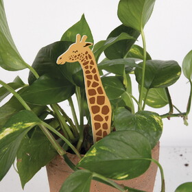 P.Graham Dunn YPPA0055 Plant Pals - Giraffe