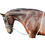 Intrepid International 106285 Cotton Lunging Aid - Horse Size
