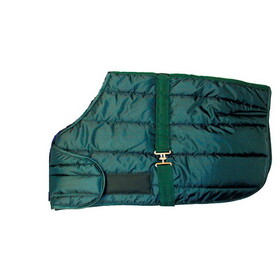 Intrepid International Quilted Adjustable Foal Blanket