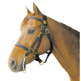 Shenandoah Shenandoah Trail Bridle Halter Combo with Solid Brass Hardware