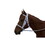 Intrepid International Race Horse Bridle Nylon with Rubber Reins and Curb Strap