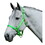 Intrepid International 1" Nylon Adjustable Horse Halter