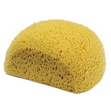 Intrepid International Large Body Sponge