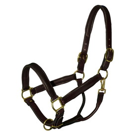 Intrepid International 2440000000 Intrepid International Deluxe Padded Leather Halter 3/4 Small Pony