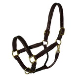 Intrepid International Pro-Trainer Padded Halter Brown Large Pony/Yearling 3/4