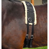 Intrepid International Fleece Lined Nylon Horse Training Surcingle