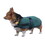 Intrepid International High Spirit Dog Rain Coat