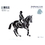 Intrepid International Decal Large Dressage Horse