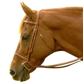 Exselle AEBD073P Exselle Bridle - Fancy Square Raised Mid Brown Pony