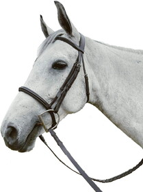 Exselle Exselle Event Plain Raised Padded Bridle and Laced Reins without Flash