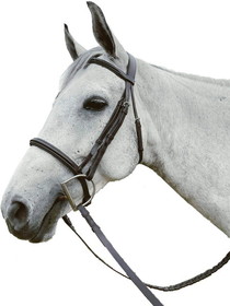 Exselle Event Bridle Plain Raised and Padded Laced Reins No Flash