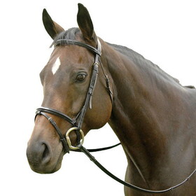 Exselle Exselle Event Plain Raised Padded Bridle and Laced Reins with Flash