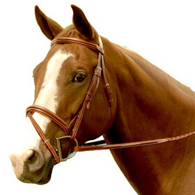 Exselle Exselle Fancy Stitched High Raised Padded Bridle