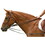 Exselle Exselle Web Draw Reins Brown Full