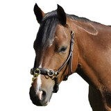 Intrepid International AELC1710P Lungeing Cavesson Leather Pony/Cob