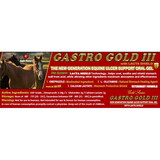 Intrepid International DYN0055 Gastro Gold III New Generation