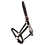 Intrepid International Deluxe Leather Track Halter 3/4" Pony