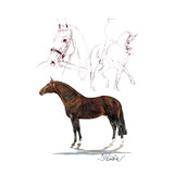 Haddington Green Equestrian Art Print - Rosenkavalier (Dressage) 19.75