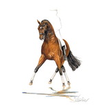 Haddington Green Equestrian Art Print - San Diego (Dressage) 19.75