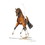 Haddington Green Equestrian Art Print - San Diego (Dressage) 19.75" X 27.5"